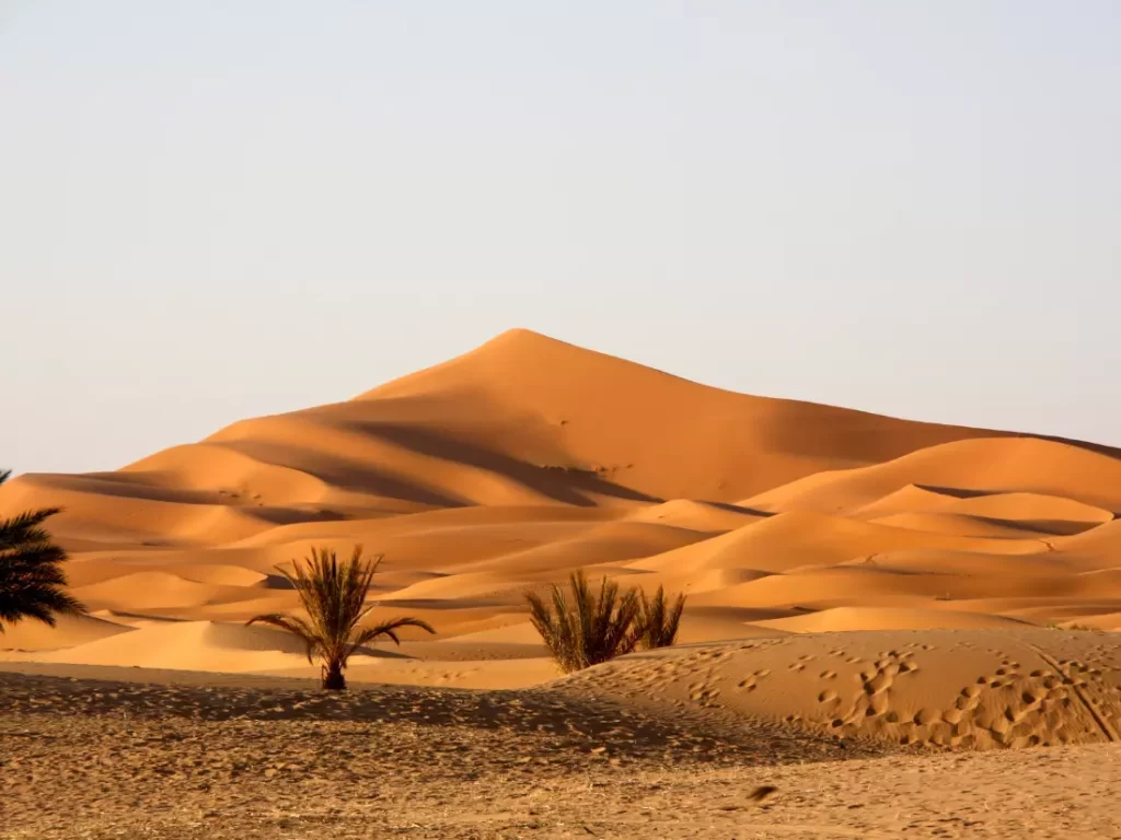 Sahaara Desert in North Africa is expading and the places around might desappear